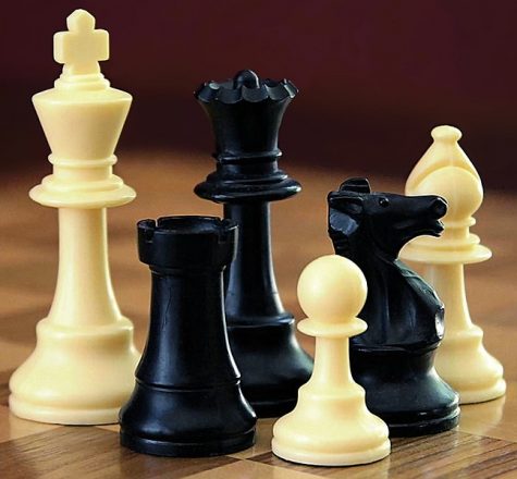 Chess Club ends competition season