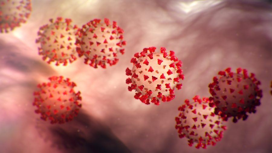 Not so pretty in pink: The Coronavirus up close