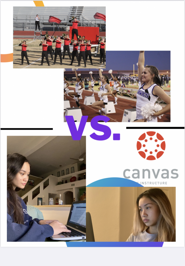 Last year, everything was normal until COVID-19 forced a shut-down. Students must now take classes online using the learning management system Canvas.