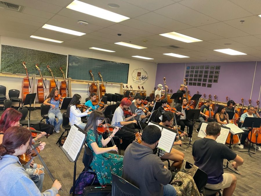 Chamber orchestra fills the room with the sound of their music as they practice for their concert on Oct. 6.