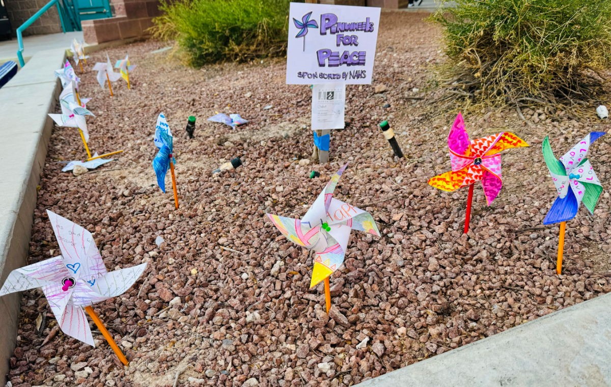 The Art Club displayed their pinwheels in the planers in the main quad. 